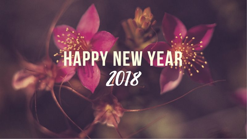 happy-new-year-2018-1.jpg