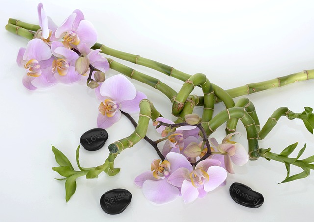 orchid-2115259_640-1.jpg