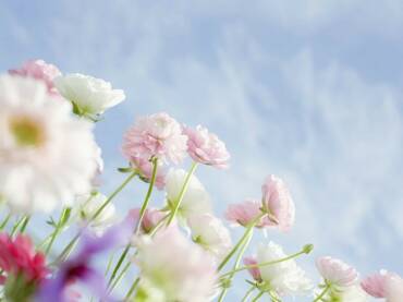 UNA PRIMAVERA RICCA DI EVENTI!