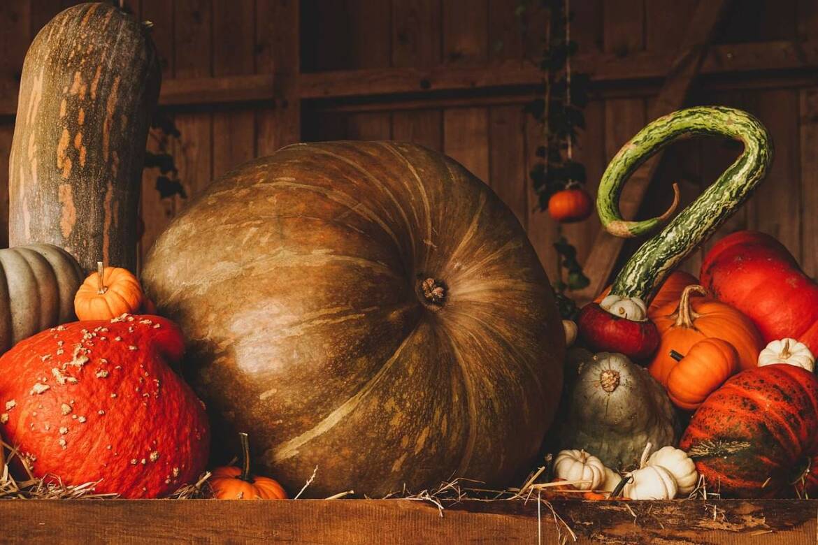 pumpkin-3698130_1280.jpg