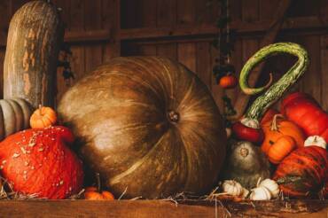 Pacchetto con Halloween Party