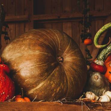 Pacchetto con Halloween Party