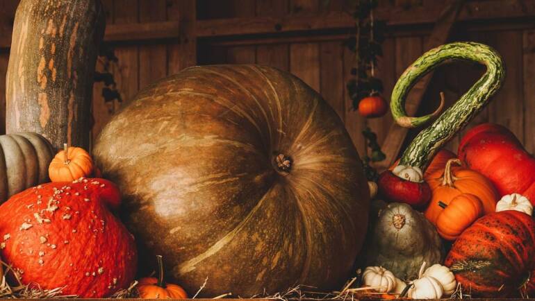 Pacchetto con Halloween Party