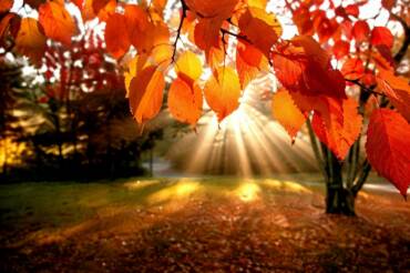 Il Ponte di Ognissanti – Un weekend tra divertimento, relax e colori d’autunno