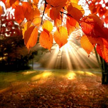 Il Ponte di Ognissanti – Un weekend tra divertimento, relax e colori d’autunno