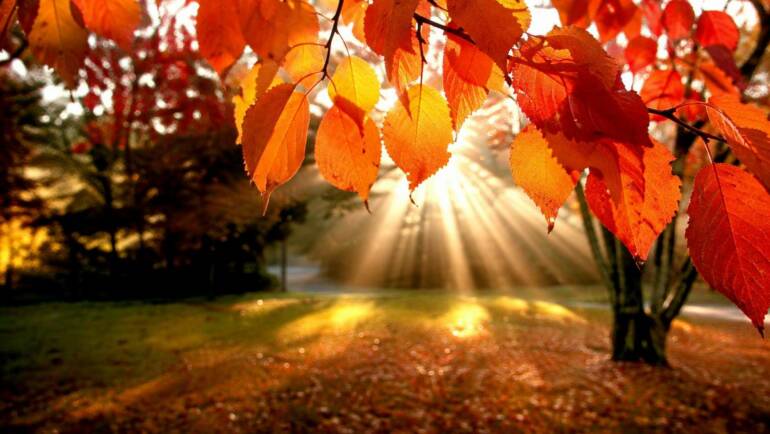 Il Ponte di Ognissanti – Un weekend tra divertimento, relax e colori d’autunno
